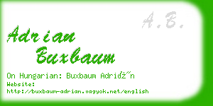 adrian buxbaum business card
